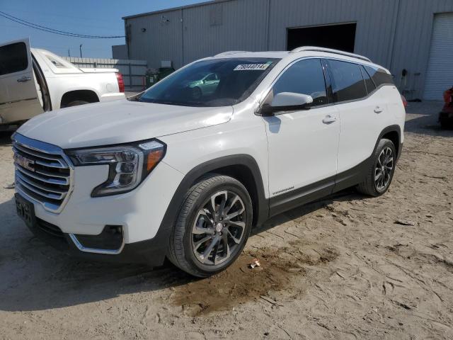 GMC TERRAIN SL 2023 with VIN 3GKALPEG9PL118107 - Photo from auction