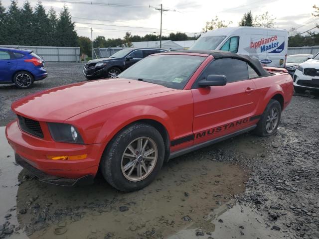 FORD MUSTANG 2005 with VIN 1ZVFT84N155216162 - Photo from auction