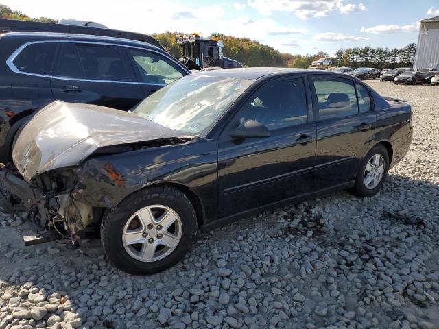CHEVROLET MALIBU LS 2004 with VIN 1G1ZT54814F183271 - Photo from auction