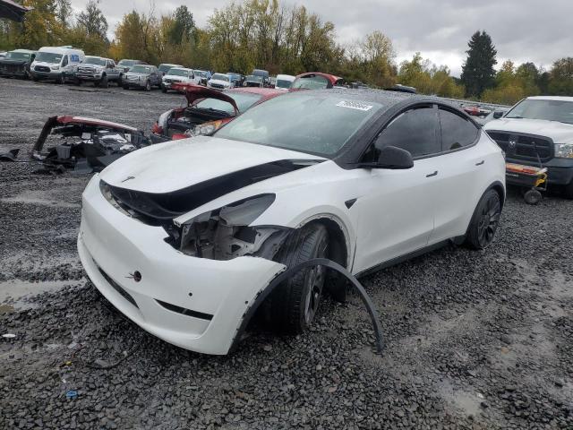 TESLA MODEL Y 2022 with VIN 7SAYGDEF6NF493472 - Photo from auction