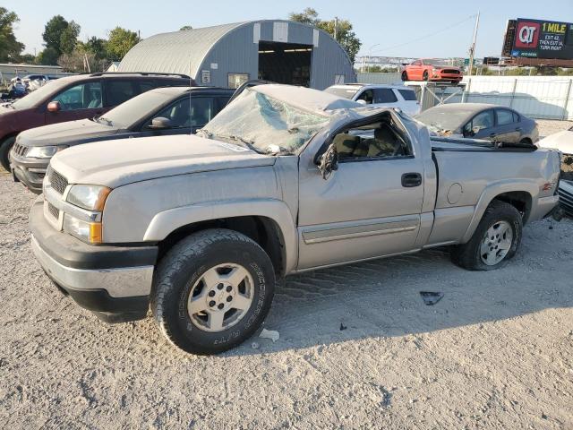 CHEVROLET SILVERADO 2005 with VIN 1GCEK14TX5Z259415 - Photo from auction