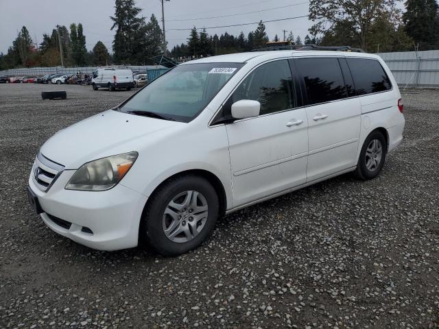 HONDA ODYSSEY EX 2007 with VIN 5FNRL38457B069897 - Photo from auction