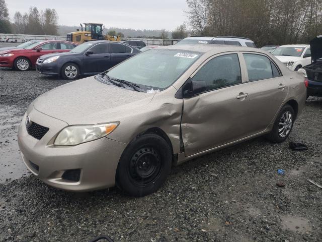 TOYOTA COROLLA BA 2010 with VIN 1NXBU4EE5AZ272624 - Photo from auction