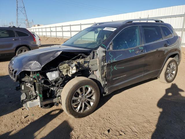 JEEP CHEROKEE L 2020 with VIN 1C4PJLLB2LD654134 - Photo from auction