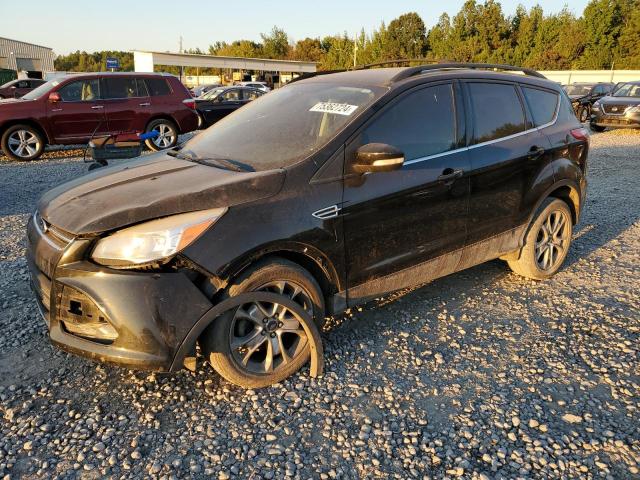 FORD ESCAPE SEL 2013 with VIN 1FMCU0HX2DUC69789 - Photo from auction