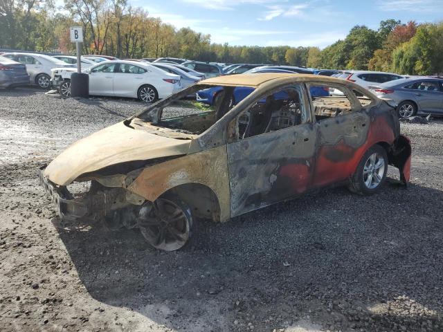 FORD FOCUS SE 2014 with VIN 1FADP3F23EL135962 - Photo from auction