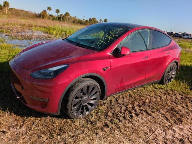TESLA MODEL Y 2024 with VIN 7SAYGDEF9RA263606 - Photo from auction