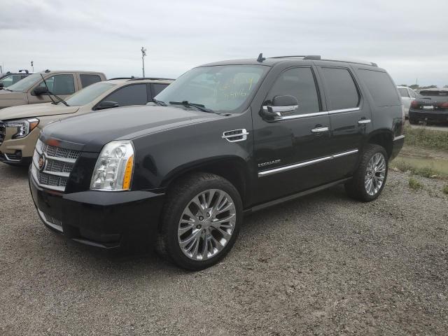 CADILLAC ESCALADE P 2011 مع رقم تعريف المركبة 1GYS4DEF5BR295445 - صورة من المزاد
