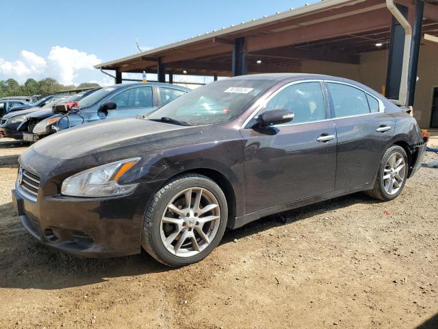 NISSAN MAXIMA S 2010 with VIN 1N4AA5AP1AC863180 - Photo from auction