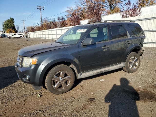 FORD ESCAPE XLT 2009 with VIN 1FMCU93G29KA25591 - Photo from auction