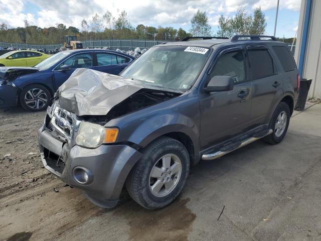 FORD ESCAPE XLT 2012 with VIN 1FMCU9DG7CKB99856 - Photo from auction
