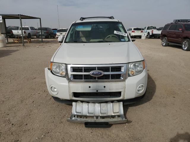 Photo 5 from auction – 2009 FORD ESCAPE LIM with VIN 1FMCU04769KB34873