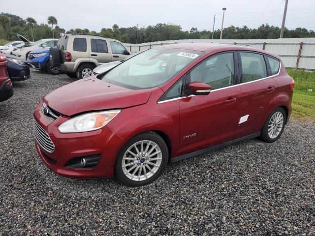 FORD C-MAX SEL 2013 with VIN 1FADP5BU5DL519484 - Photo from auction