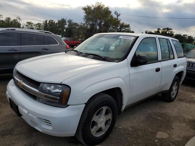 Photo 1 from auction – 2006 CHEVROLET TRAILBLAZE with VIN 1GNDT13S562294950