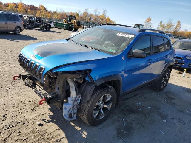 JEEP 170 2017 with VIN 1C4PJMBS3HW625163 - Photo from auction