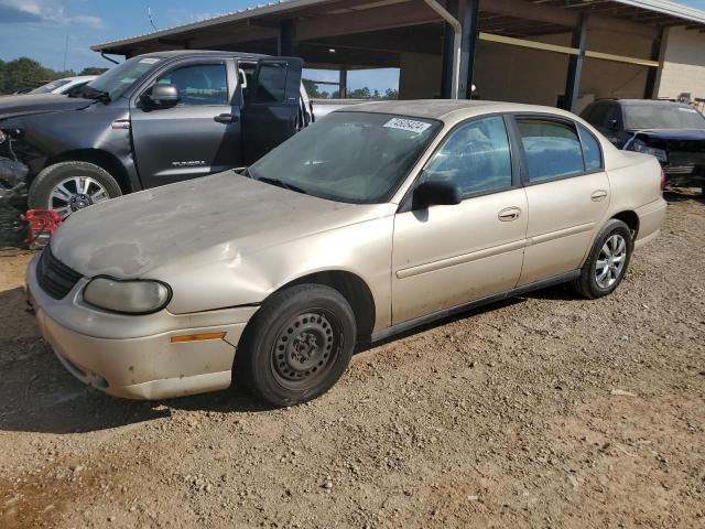 CHEVROLET CLASSIC 2004 with VIN 1G1ND52F64M533549 - Photo from auction