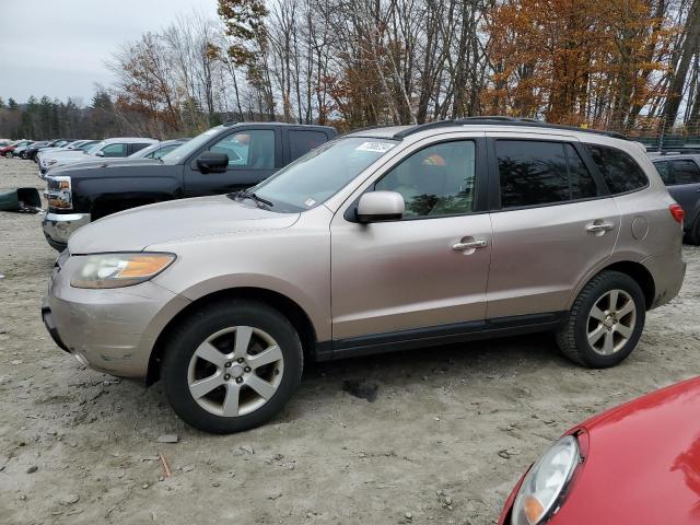 Photo 1 from auction – 2007 HYUNDAI SANTA FE S with VIN 5NMSH73E07H045502