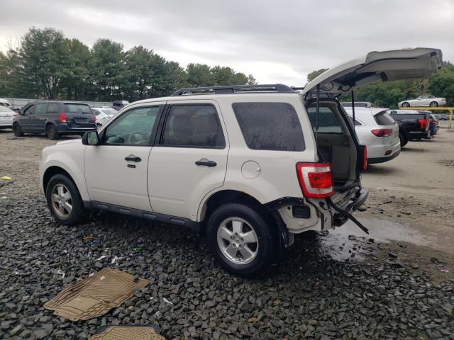 Photo 2 from auction – 2011 FORD ESCAPE XLT with VIN 1FMCU0DG0BKC58921