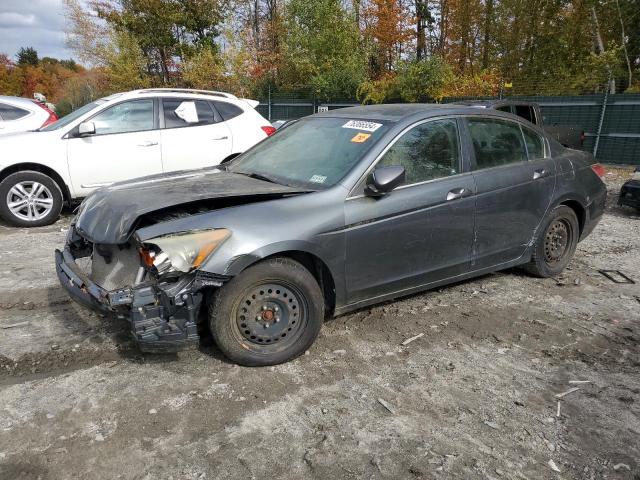 HONDA ACCORD LX 2010 with VIN 1HGCP2F35AA028041 - Photo from auction