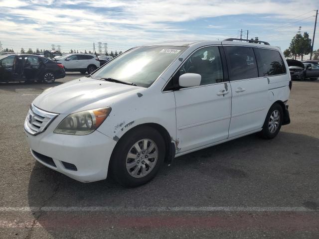 HONDA ODYSSEY EX 2008 with VIN 5FNRL38458B116248 - Photo from auction