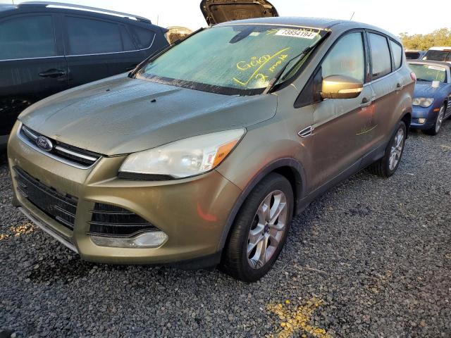 FORD ESCAPE SEL 2013 with VIN 1FMCU0HX9DUC42217 - Photo from auction