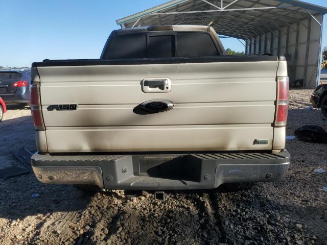Photo 6 from auction – 2010 FORD F150 SUPER with VIN 1FTFW1EV3AFA17246