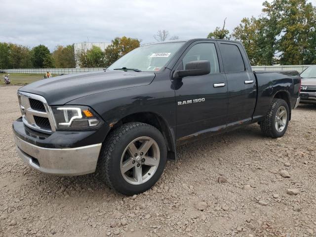 DODGE RAM 1500 2011 with VIN 1D7RV1GP3BS548198 - Photo from auction