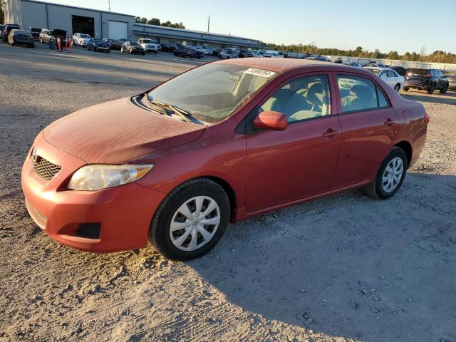 TOYOTA COROLLA BA 2010 with VIN 2T1BU4EE4AC238126 - Photo from auction