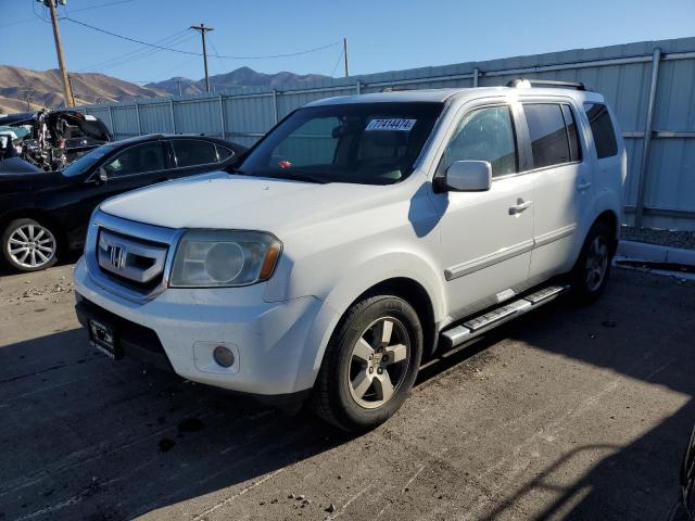 HONDA PILOT EXL 2009 with VIN 5FNYF48549B046535 - Photo from auction