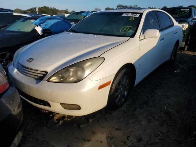 LEXUS ES 330 2004 with VIN JTHBA30G545024399 - Photo from auction