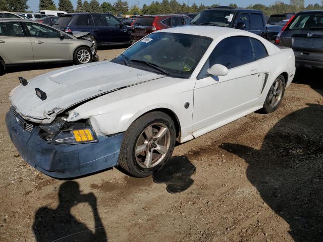 FORD MUSTANG 2004 with VIN 1FAFP406X4F137909 - Photo from auction