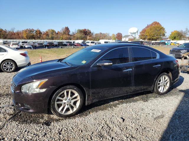 NISSAN MAXIMA S 2011 with VIN 1N4AA5AP3BC839139 - Photo from auction
