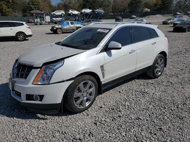 CADILLAC SRX PERFOR 2011 with VIN 3GYFNBEYXBS516927 - Photo from auction