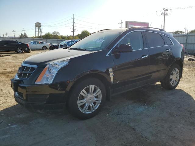 CADILLAC SRX 2012 with VIN 3GYFNGE38CS628399 - Photo from auction