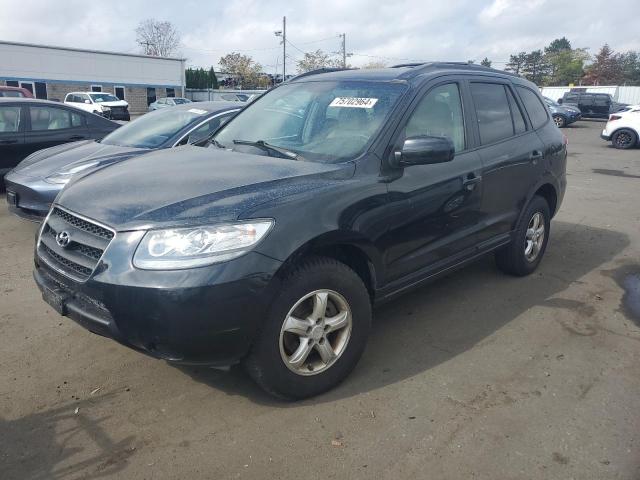 HYUNDAI SANTA FE G 2007 with VIN 5NMSG13DX7H089787 - Photo from auction