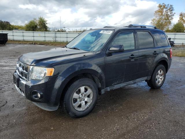 FORD ESCAPE LIM 2010 with VIN 1FMCU0EG9AKD18773 - Photo from auction
