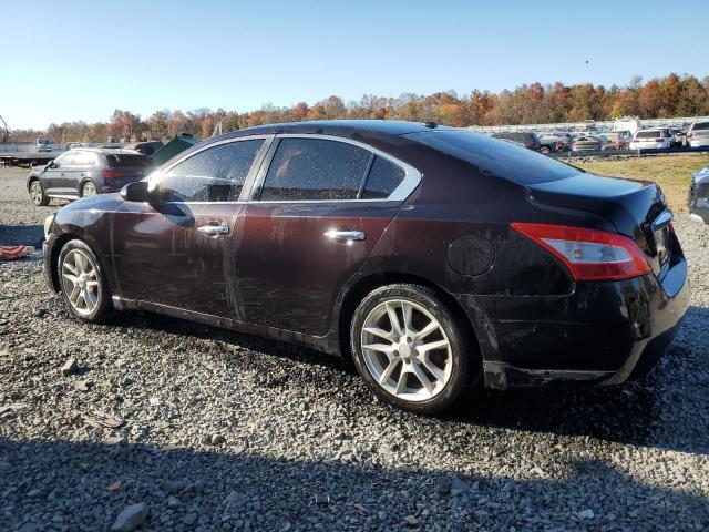 Photo 2 from auction – 2011 NISSAN MAXIMA S with VIN 1N4AA5AP3BC839139