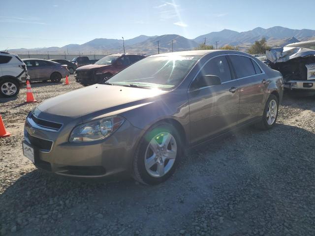 CHEVROLET MALIBU LS 2011 with VIN 1G1ZA5EUXBF111290 - Photo from auction