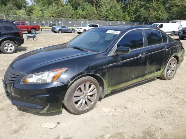HONDA ACCORD EXL 2011 with VIN 1HGCP2F81BA153017 - Photo from auction