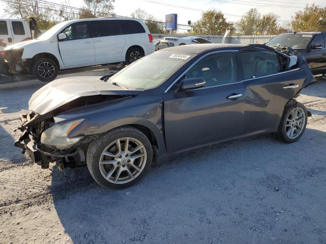 Photo 1 from auction – 2009 NISSAN MAXIMA S with VIN 1N4AA51E49C841457