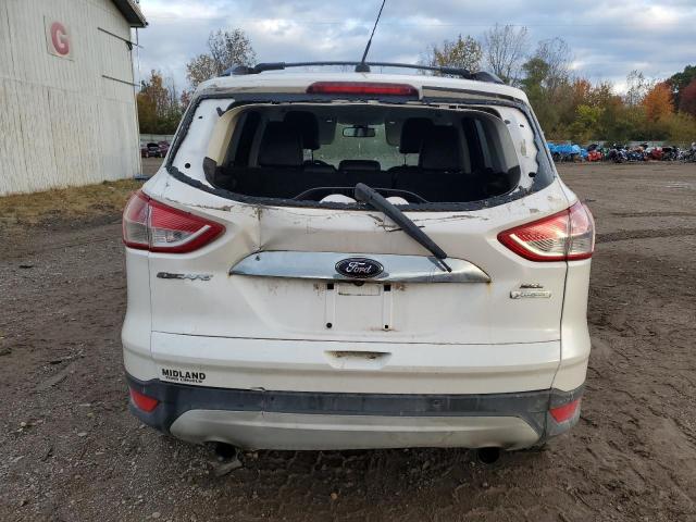 Photo 6 from auction – 2013 FORD ESCAPE SEL with VIN 1FMCU0H91DUA00944
