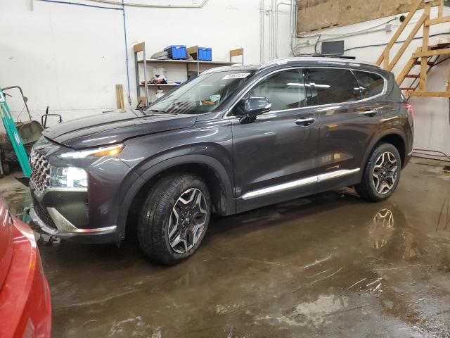 HYUNDAI SANTA FE L 2023 with VIN 5NMS4DAL6PH495327 - Photo from auction