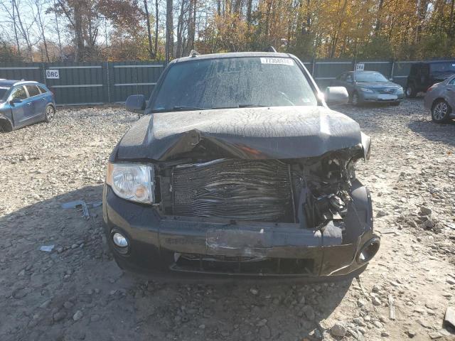Photo 5 from auction – 2009 FORD ESCAPE XLT with VIN 1FMCU937X9KB29648