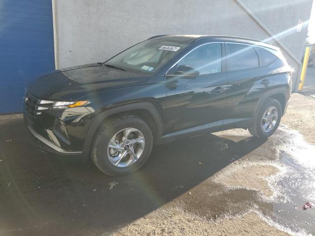 HYUNDAI TUCSON SEL 2024 with VIN 5NMJBCDE3RH390451 - Photo from auction