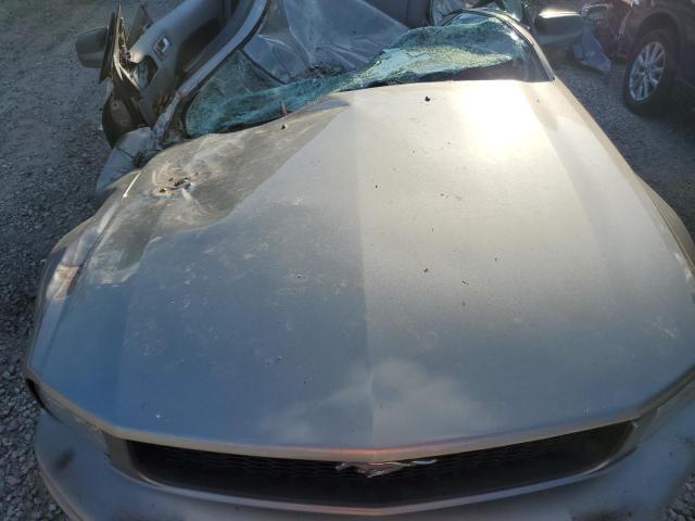 Photo 11 from auction – 2008 FORD MUSTANG with VIN 1ZVHT80N585207578