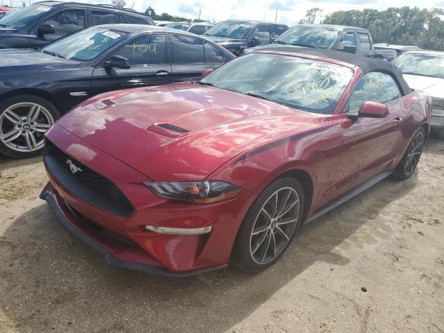 FORD MUSTANG 2019 with VIN 1FATP8UH0K5149902 - Photo from auction