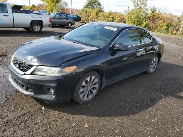 HONDA ACCORD EX 2015 with VIN 1HGCT1B70FA800502 - Photo from auction