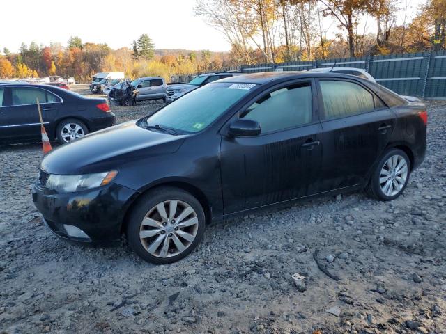 KIA FORTE SX 2011 with VIN KNAFW4A34B5417813 - Photo from auction