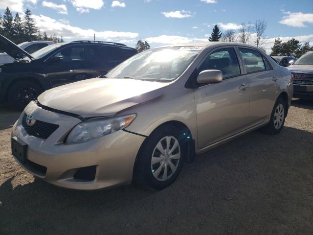 TOYOTA COROLLA BA 2010 with VIN 2T1BU4EE8AC341078 - Photo from auction