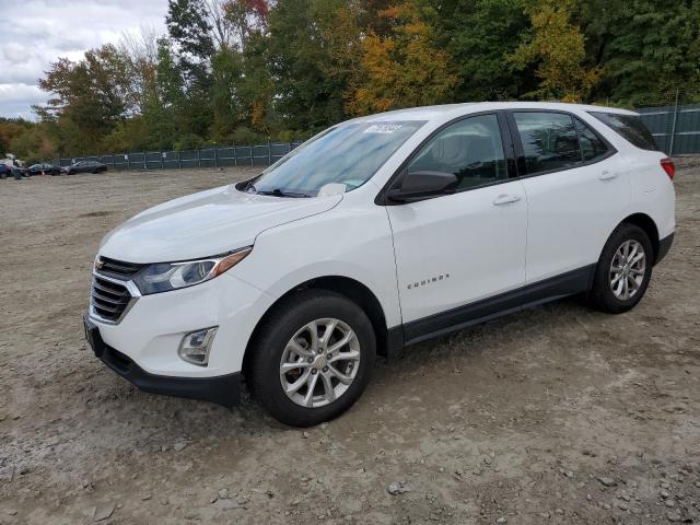 CHEVROLET EQUINOX LS 2018 with VIN 2GNAXREV4J6230603 - Photo from auction